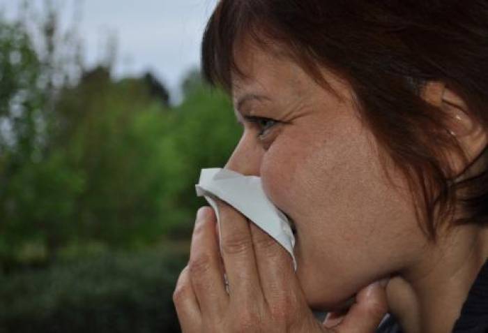 Allergie, quand tu nous tiens !