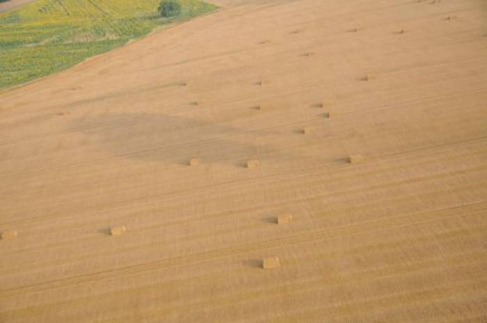 Des terres de convoitise