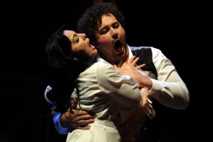 « Madame Butterfly » se pose à Sanxay