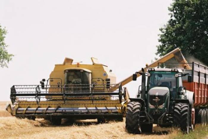 Suicide des agriculteurs : <br> des mots sur les maux