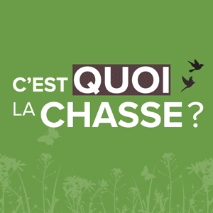 Publicité